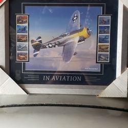 US Postal Service  Thunderbolt Advances In Aviation Framed Picture 