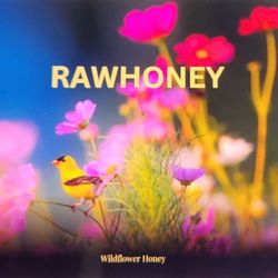 Wildflower Honey $10