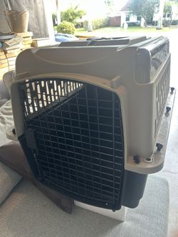 Pet carrier