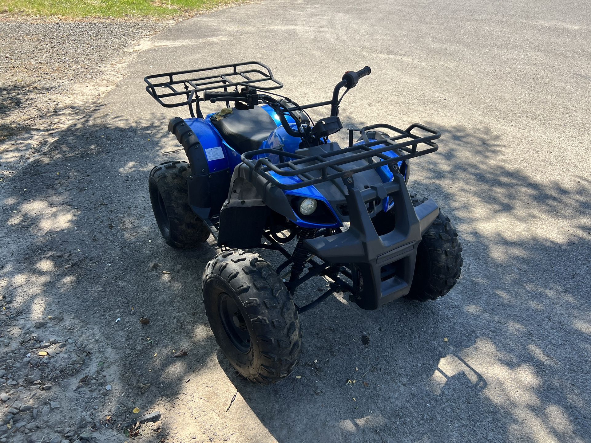 Kids 125cc Quad Atv 4 Wheeler 