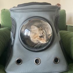 Cat Bookbag