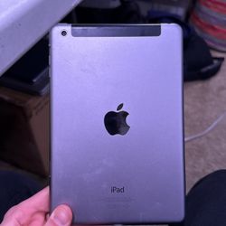 iPad mini 2