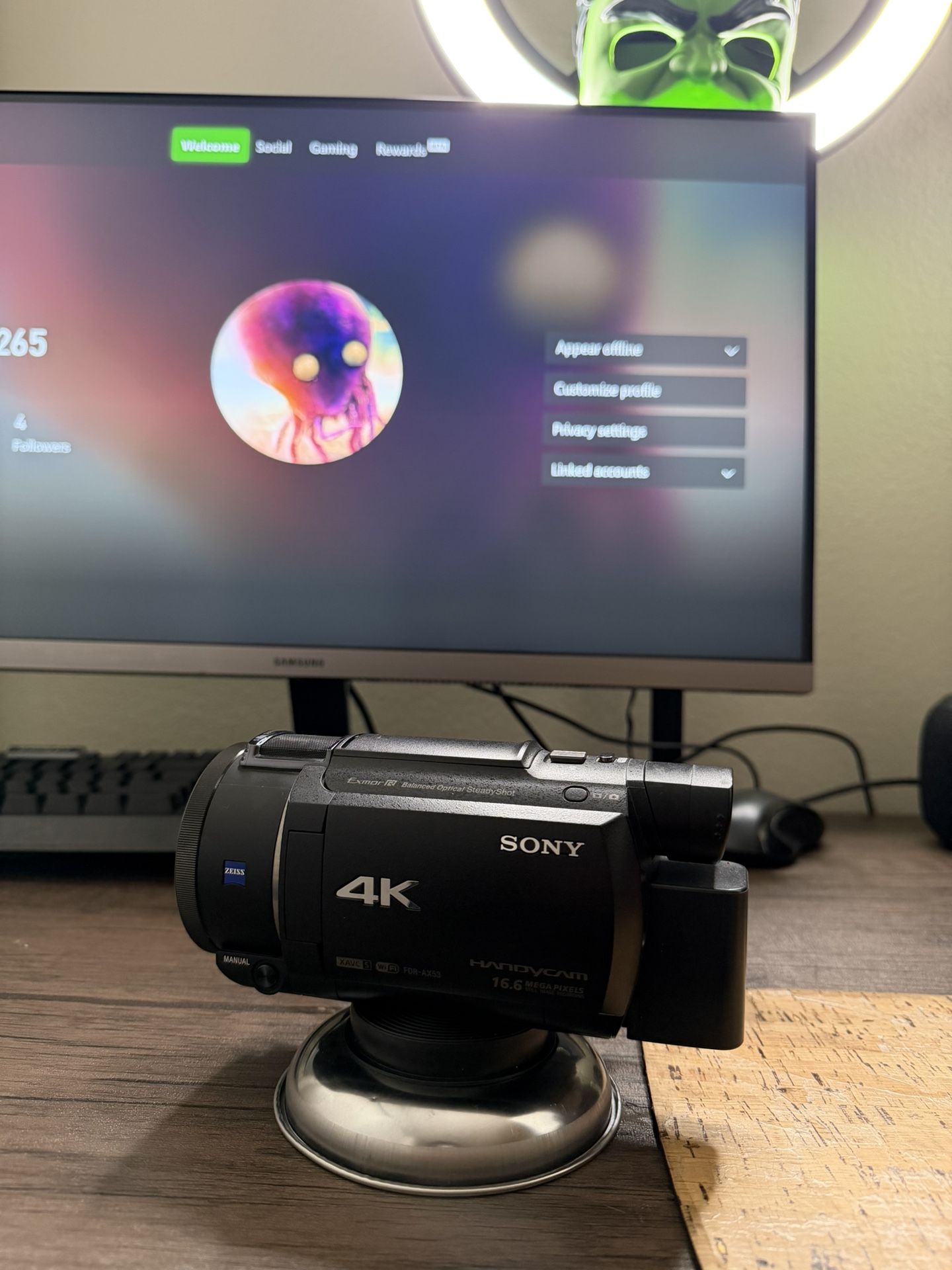 Sony FDR-AX53 4K ULTRA HD Handycam Camcorder