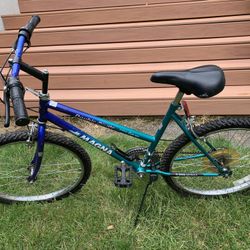 Girls15 Speed Bike