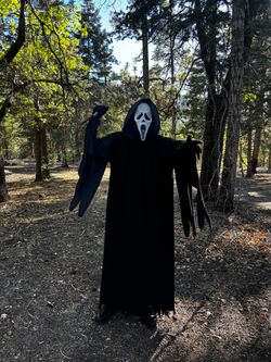 30th anniversary ghostface robe