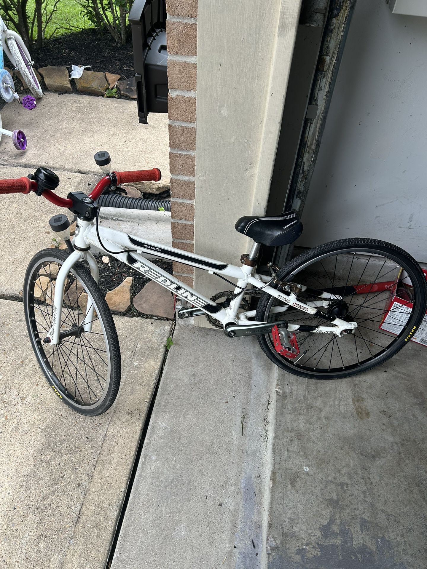 Redline Proline mini Bike