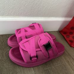 Pink Draco Slides 9-10