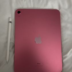 Apple 15th Generation iPad Pink! 