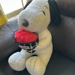 Snoopy with Blanket Inside