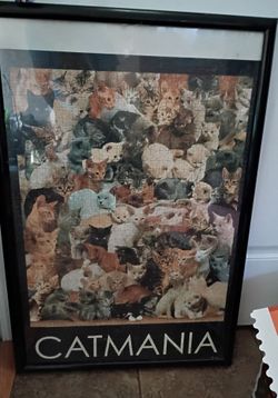 Cat Puzzle In Plastic Frame