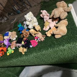 Funny Stuffed Animals
