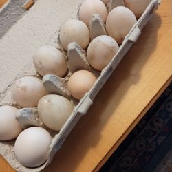 Farm Fresh Duck Eggs
