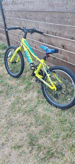 20" xtc giant mt bike