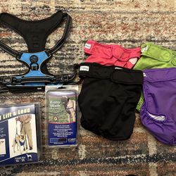 Spring Cleaning Dog Items