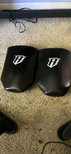 Kicking/boxing shield