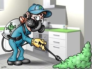 Fumigacion Profunda Economica Garantizado 