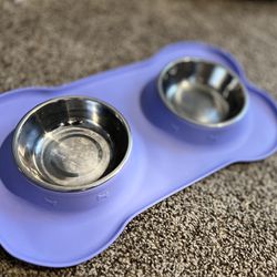Dog Bowl— Nonslip + No spill 