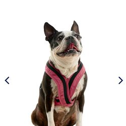 NWT Gooby Pet Escape Free Pink Comfort X One Harness for Dogs