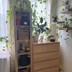 Tall Shelf Unit (IKEA)
