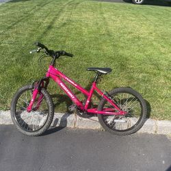 Nishiki Mountain Bike 20 Inch