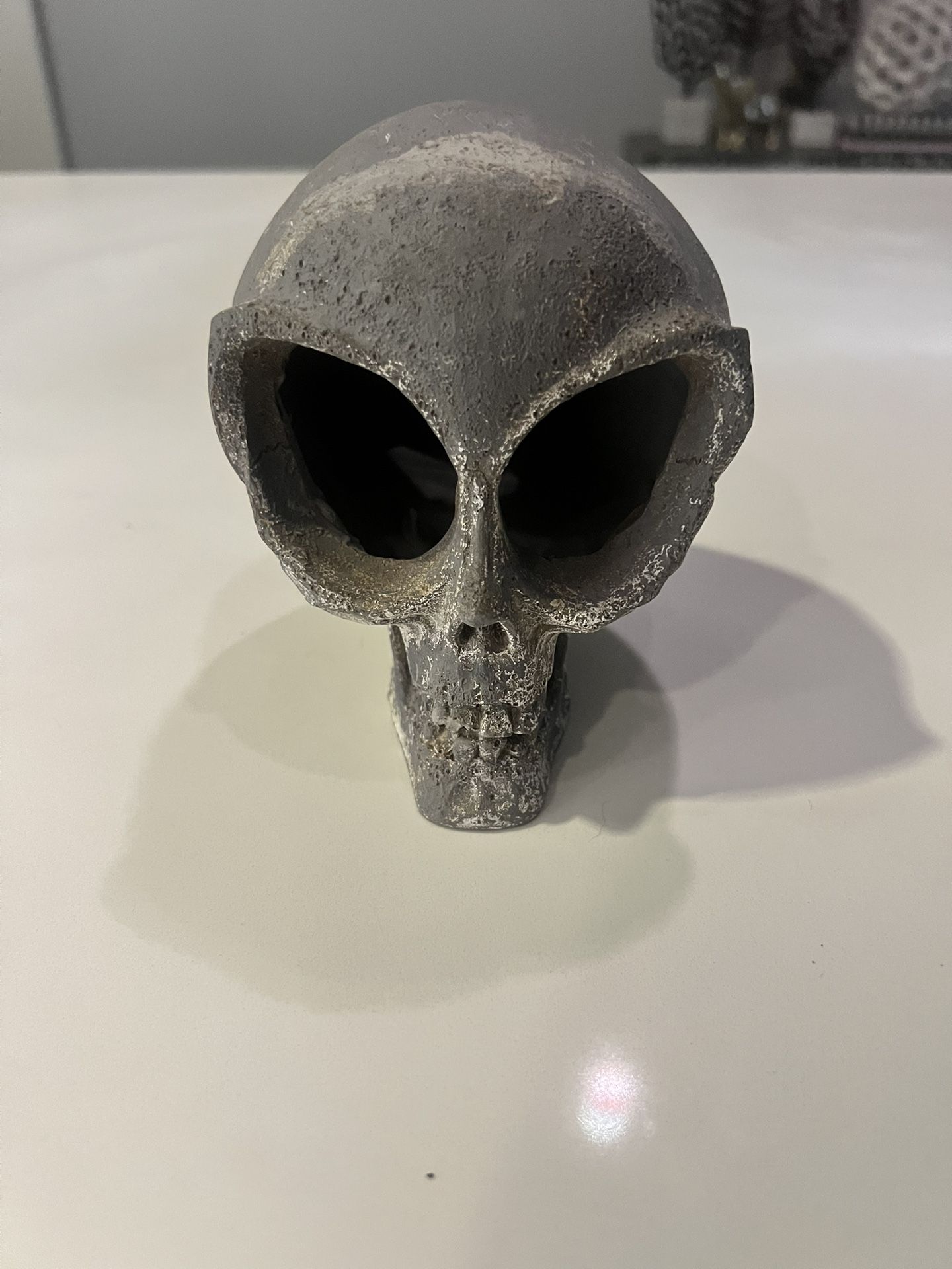 Fish Tank Skull Decor