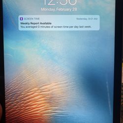 iPad 