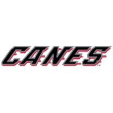 Hurricanes Tickets Behind Bench