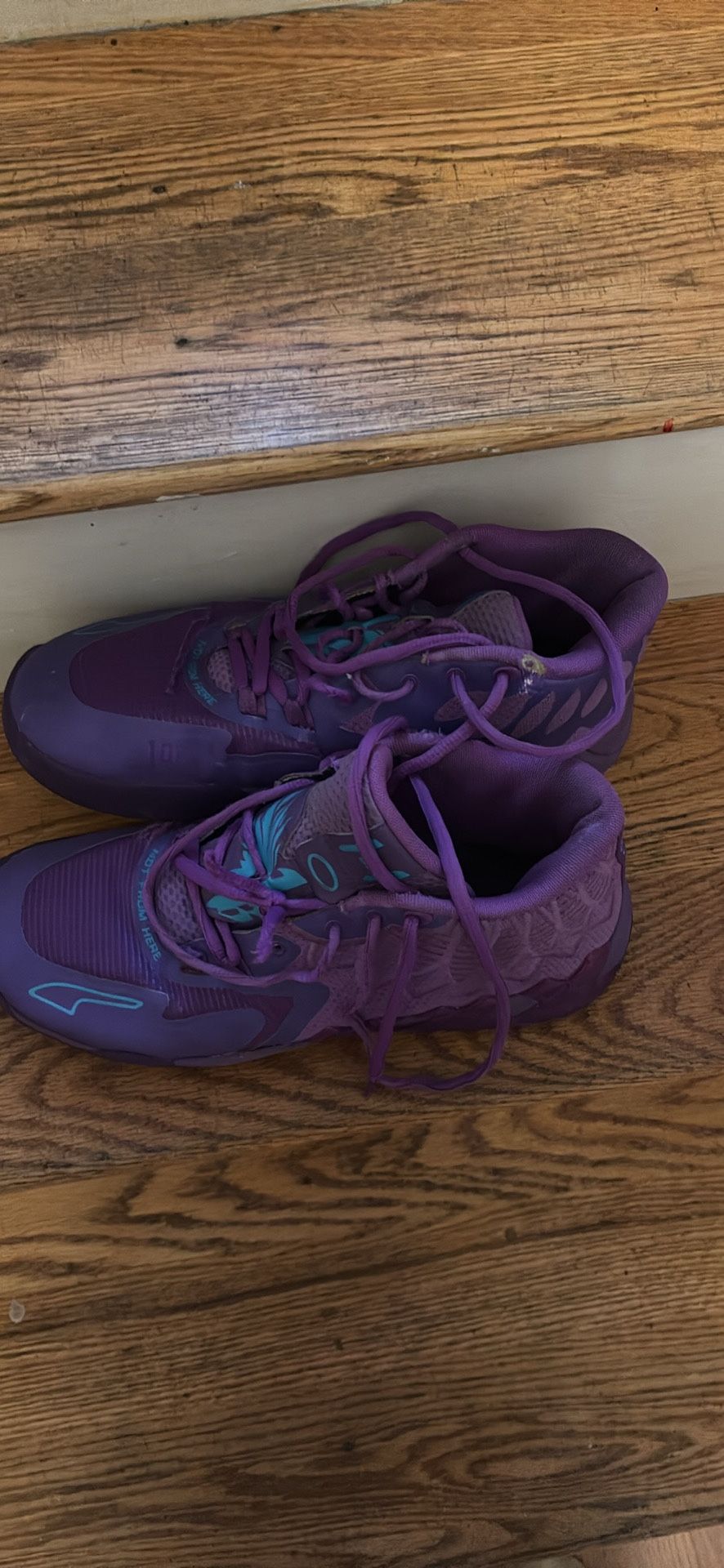 Assorted Basketball Shoes