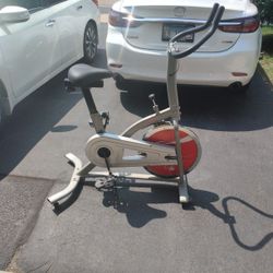 Sunny Exercise Bike