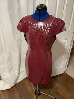 BCBG Leather Dress