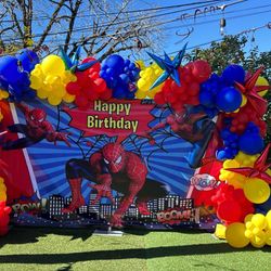 Spider-Man Birthday Party Decoration