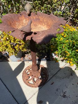 Bird bath
