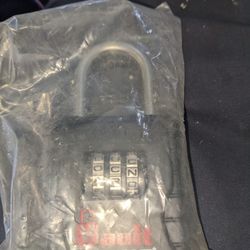 Vault Lockbox Door (Lot)