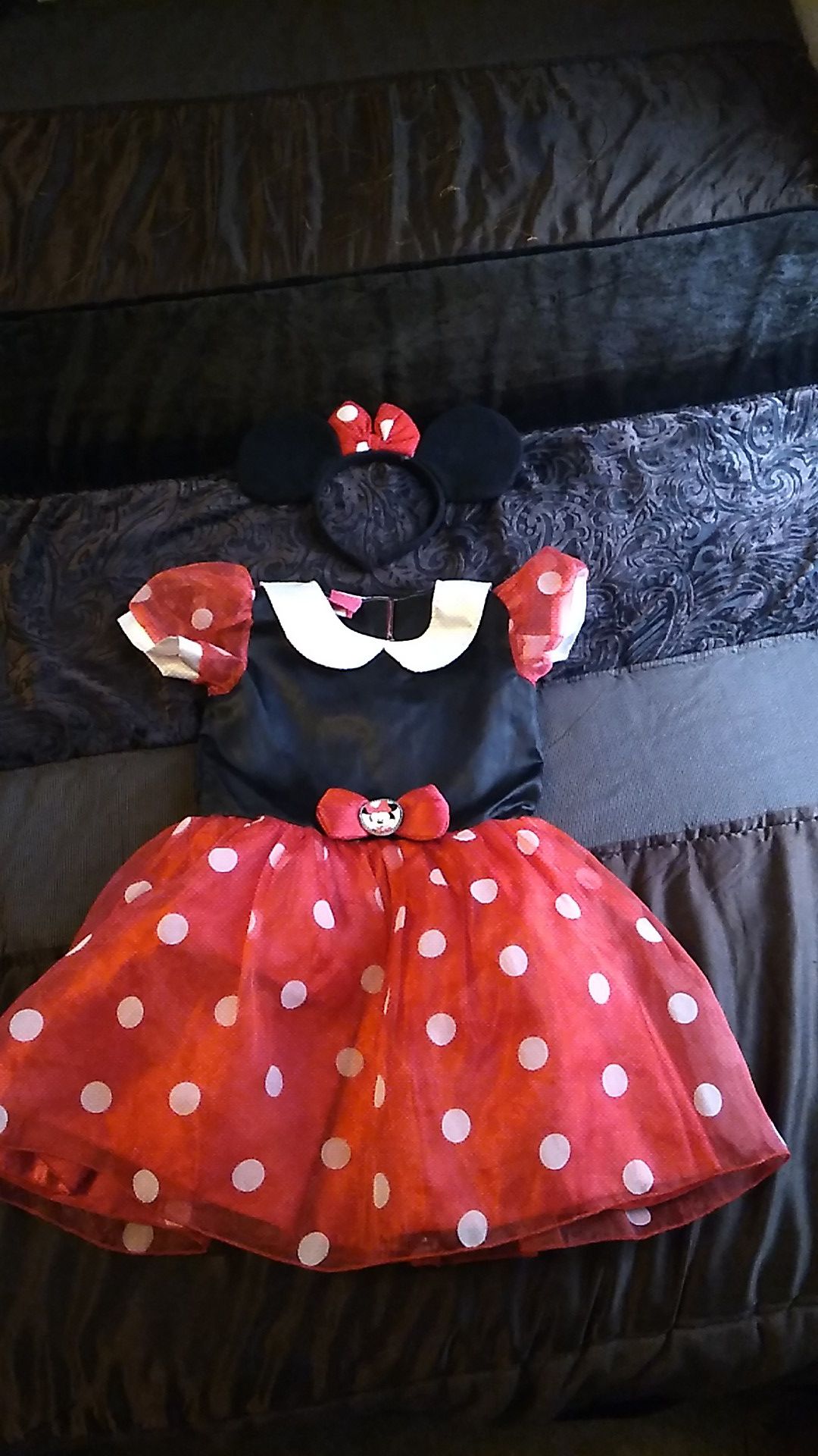 Minnie mouse size 2 costume