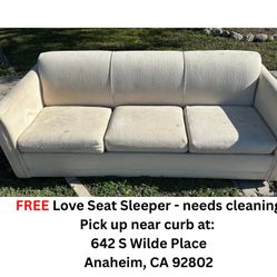 FREE Love Seat Sleeper Sofa