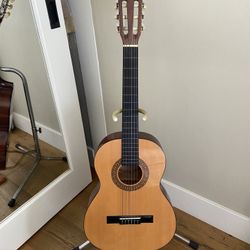 Acoustic Guitar 