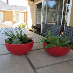 Pair Of Red Garden Pots With Succulents 