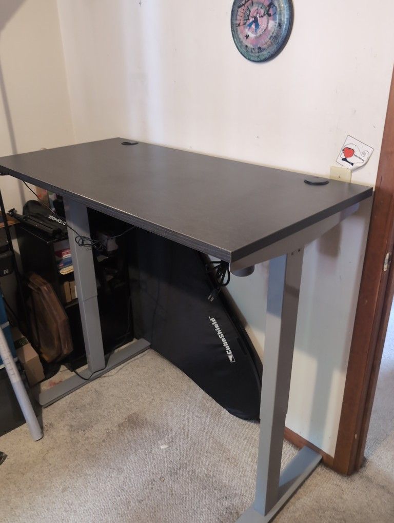 Ergonomic Sit/Stand Desk