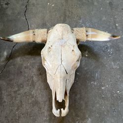 Cow Skulls
