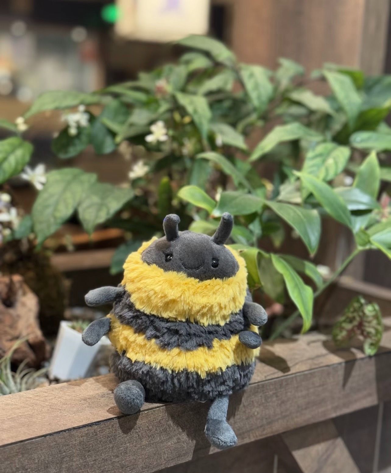 Jellycat Albee Bee NWT