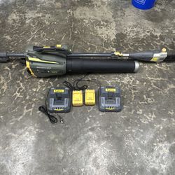 Cordless Leaf Blower And Telescopic Pole Saw