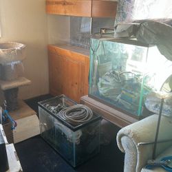 Fish Tanks Make An Offer