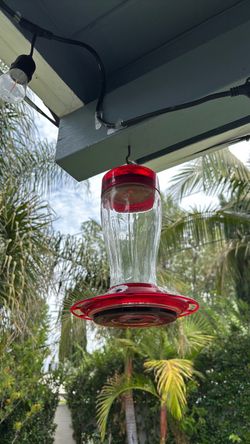More Birds Bird Health+ Big Gulp Hummingbird Feeder, Glass Hummingbird Feeders for Outdoors, 5 Feeding Stations, 40 Ounces