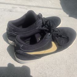 Paul Rodriguez Nikes 