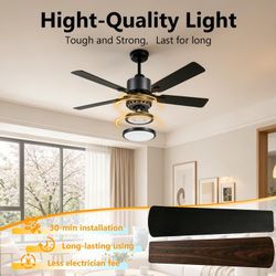 Smart 52 inch WiFi Ceiling Fan Light,