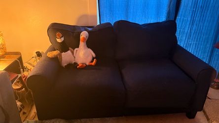 Blue two person couch