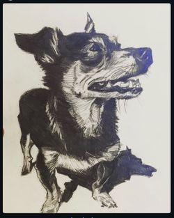 Penciled or digital portraits of your loved ones and pets.