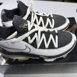 Size 9 LeBron XVII Low