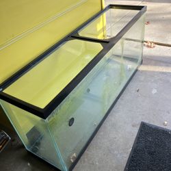 Fish Tank 48x21x12