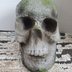 SPIRIT HALLOWEEN Store Exclusive 2020 corpse Prop SKULL from Jack's Cave wicked
